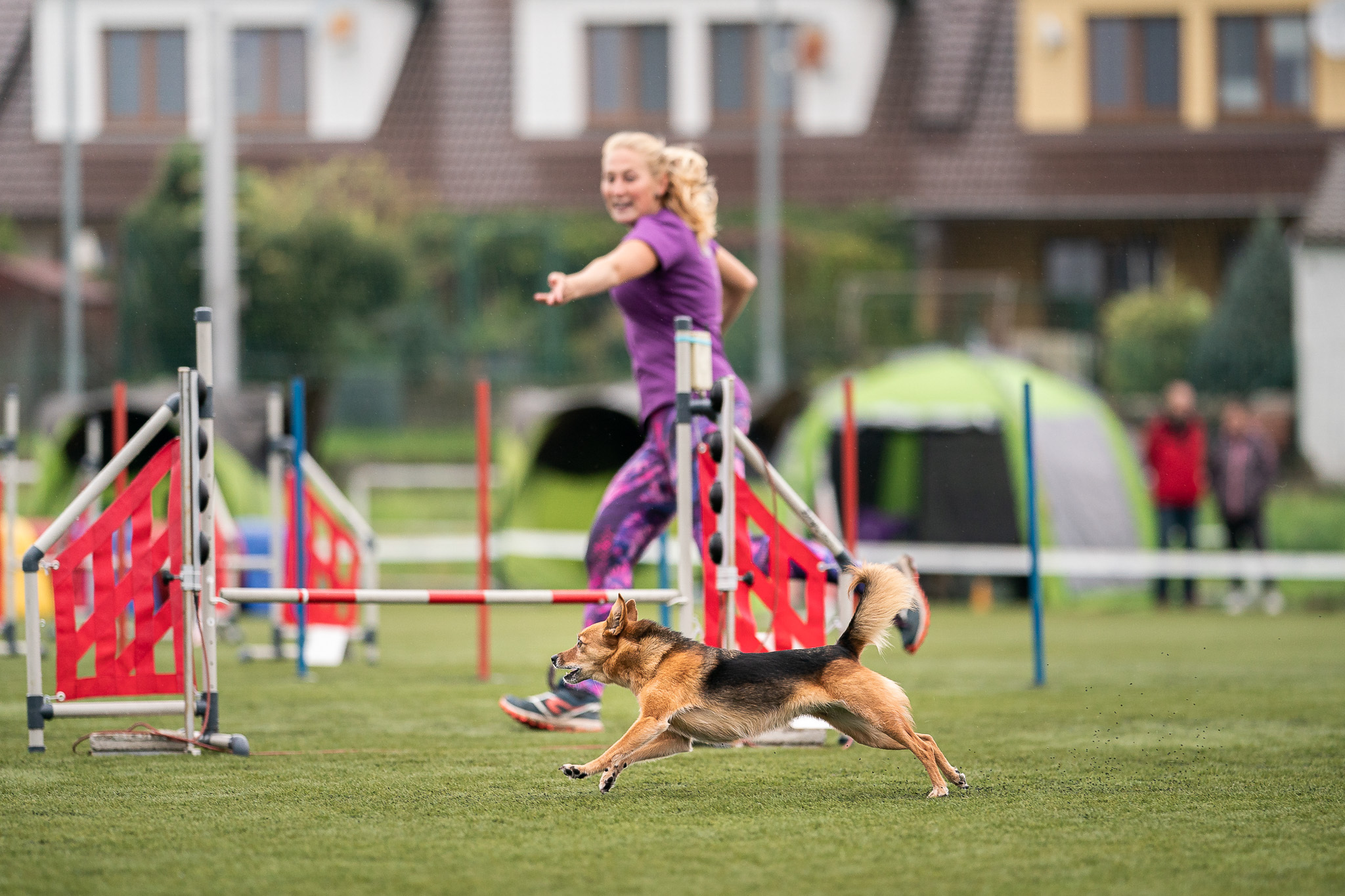 Může jít o obrázek dog a grass